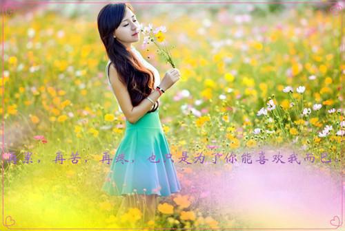 霜儿雪姑娘宋止最新章节更新时间 且以情深寄霜雪小说霜儿雪姑娘宋止免费阅读