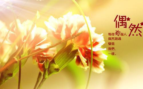 周招娣傅卫疆大结局后续 回京认亲被嫌,听劝换爹后成团宠笔趣阁最新章节列表