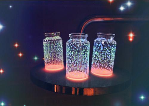 我的女王,曾是我的金丝雀(魏哲江晏)最新章节_我的女王,曾是我的金丝雀全文阅读