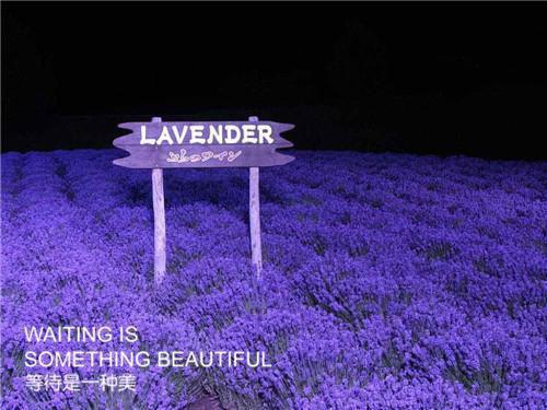 林窈纪云澈小说免费阅读最新章节 表妹手撕剧本：渣男升棺我发财结局