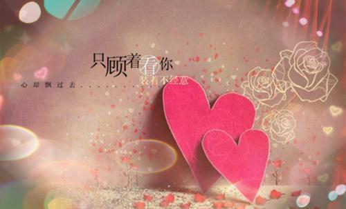 小鸟箫肃远免费阅读最新章节结局 锁春燕免费阅读全文