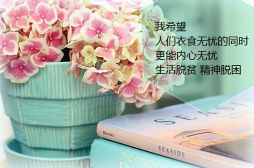 沈晓晓林薇小说免费阅读最新章节 和闺蜜死遁后，大佬们都疯了全文免费阅读