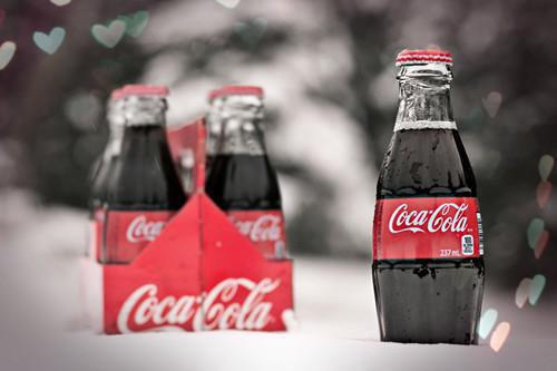 慕蔏纪北舟最新章节列表 慕蔏纪北舟完整版