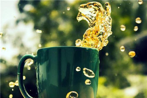 他的爱埋在雪山之下：结局+番外：全文+后续+结局（江肆言夏月姝）最新章节列表_他的爱埋在雪山之下：结局+番外（江肆言夏月姝）他的爱埋在雪山之下：结局+番外：全文+后续+结局在线阅读