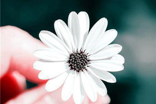 孟浮云徐欣小说免费阅读 出轨后,我让她净身出户在线阅读