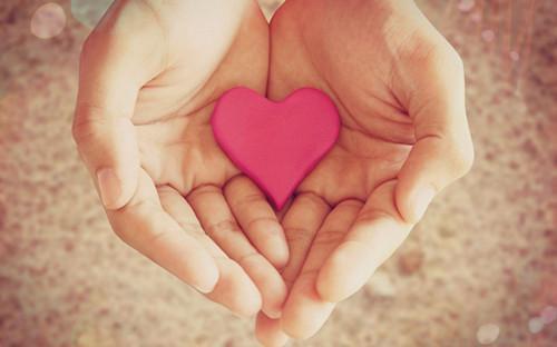 江乐言陆皓晨陆语瑶小说叫什么 分手后前任后悔了笔趣阁最新章节