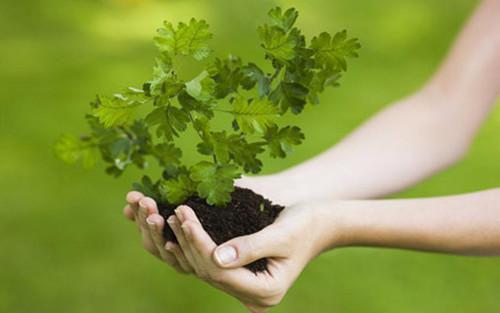 薛成岳梁菲徐志白小说名 青梅让我不要多管闲事by某君