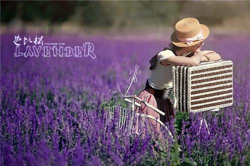 杨曦林子瑜最新章节更新状态 闺蜜为了爱情放弃的豪门生活，被我捡漏了小说免费阅读全文最新章节