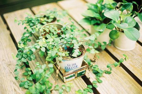 离婚当天前夫白月光挺孕肚上门分家产顾西城沈晚晴陆景深推荐完本_已完结离婚当天前夫白月光挺孕肚上门分家产(顾西城沈晚晴陆景深)