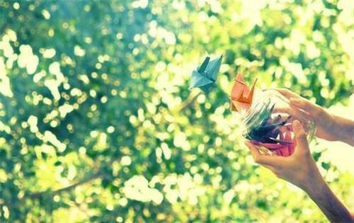 夏晨赵梅夏大树是哪部小说 妈妈总爱跟我说爸爸坏话，我不爱爸爸后妈妈却说我是白眼狼免费阅读小说