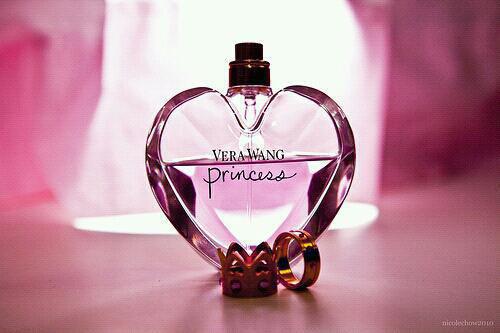 舒禾贺洛屿赵晚乔的小说叫什么 舒禾贺洛屿小说正版阅读