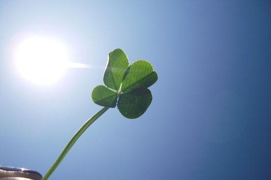 弄堂深处再无她：全文+结局+番外（姜眠萧含冰）最新章节列表_弄堂深处再无她：全文+结局+番外全文阅读