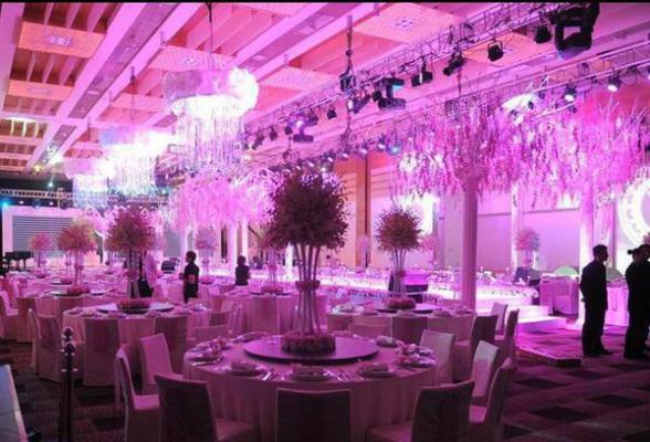 陶枝欧漠小说 穿成虐文女主我靠发疯成了万人迷免费阅读小说