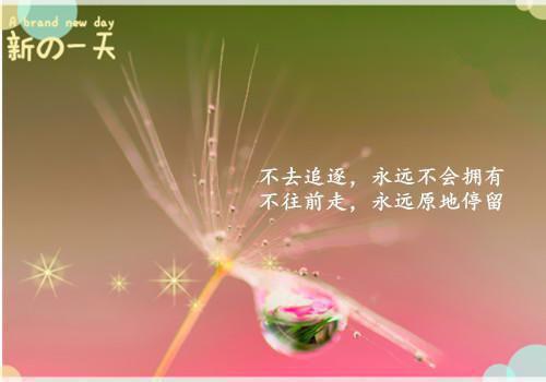 虞佳人蒋劲泽蒋闻生大结局后续 港城再无佳人全文免费阅读