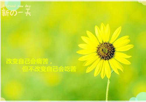 孙慕容宋喻安大结局后续 勿忘她知乎孙慕容宋喻安