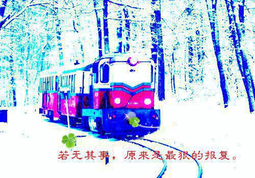 江宁笙傅言安崔疏影的最新章节小说 余生陌路两不相欠小说免费阅读全文最新章节