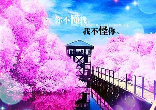 闺蜜他哥超凶，随军后他夜喊宝宝（林晚意顾砚深）全文浏览_闺蜜他哥超凶，随军后他夜喊宝宝全文浏览