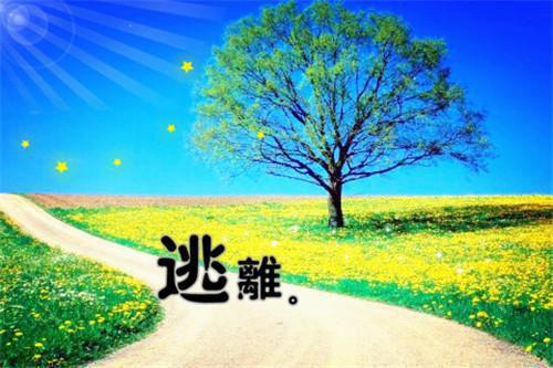 殷无妄秦兆川小说结局 死遁后我成了魔门卧底（神秘人）免费阅读