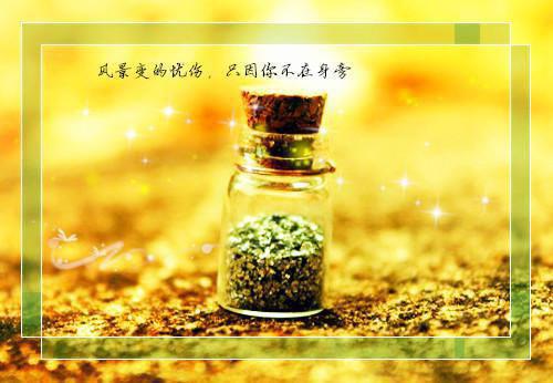 月光焚尽旧时信全文阅读（裴司瑾阮遇）最新章节_月光焚尽旧时信全文阅读