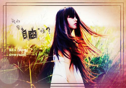 何絮音江淮最新章节内容 甜涩笔趣阁最新章节