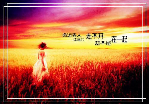 宋一诺沈慕言姜瑶小说结局 唯留星光刺骨寒：后续by懒小橘免费阅读