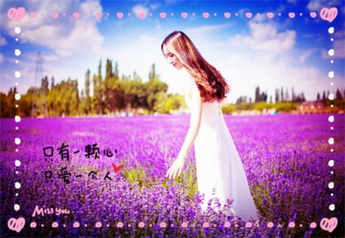 顾与凰顾与宸顾婉柔小说免费阅读 哥哥为了养妹拒绝我入族谱后，我战死沙场未删减小说