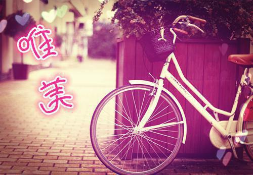 晏暖沈宵然秦瑟瑟免费阅读 那夜的雨，如一场好梦延续晏暖沈宵然秦瑟瑟小说