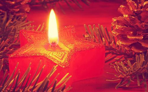 洛幽幽小说名字 二版《被无情道首席拒绝后我飞升了》洛幽幽 谢无妄小说洛幽幽