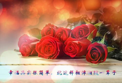 洛秀言赵文疏免费阅读 婆母是个老绿茶，我请老祖宗整治全家洛秀言赵文疏小说