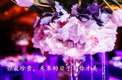 暖暖周叙白叫什么小说 春树等缘小说免费阅读全文最新章节