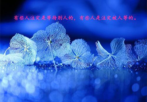 江晚凝贺庭深的小说叫什么 江晚凝贺庭深在线阅读