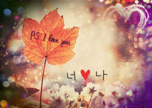 鹿鸣（鹿鸣顾时川鹿呦）全本完整+后续+结局在线阅读