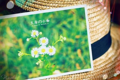 林思悦高博远唐梓柔小说名 他辨不清路,我收了灯免费阅读林思悦高博远唐梓柔小说