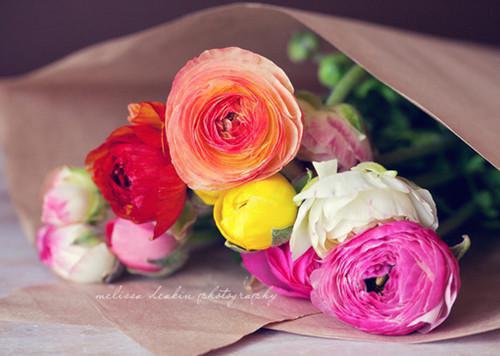 孟浮云徐欣小说笔趣阁最新章节 出轨后,我让她净身出户在线阅读