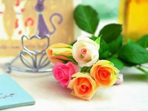 魏之洲苏菲楚昭魏之海免费阅读最新章节 女友为救我弟弟卖房，我要和她分手笔趣阁最新章节