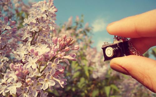 西医毕业，却激活了中医馆模拟器全文阅读（许阳许建国）最新章节_西医毕业，却激活了中医馆模拟器全文阅读