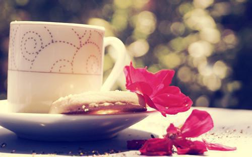 最新章节全家白眼狼，嫡女重生大杀四方（林书棠沈鹤归）_全家白眼狼，嫡女重生大杀四方林书棠沈鹤归最新章节