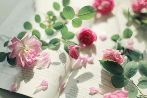 如果告别不能笑着说：+后续+结局（颜书逸宋雯沁）小说最新章节在线阅读_如果告别不能笑着说：+后续+结局（颜书逸宋雯沁）已完结全集大结局