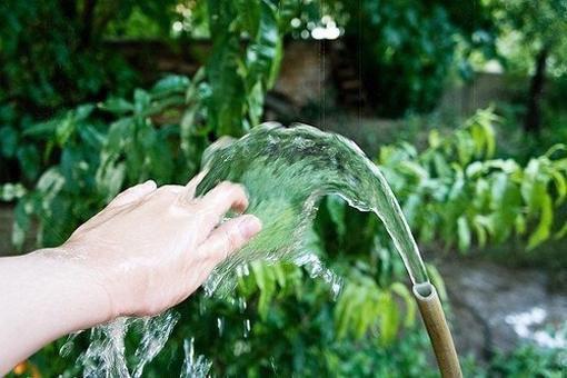 沈禾苗沈团团小说名字 穿越之农家医女种田二三事免费阅读沈禾苗沈团团小说