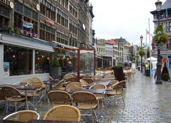 余安青崔行默楚照晚最新章节更新状态 余安青崔行默小说免费阅读全文最新章节