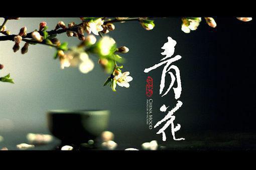 背信弃义的是你，我改嫁太子你哭什么？全文阅读（顾辞安谢衍江流萤）最新章节_背信弃义的是你，我改嫁太子你哭什么？全文阅读