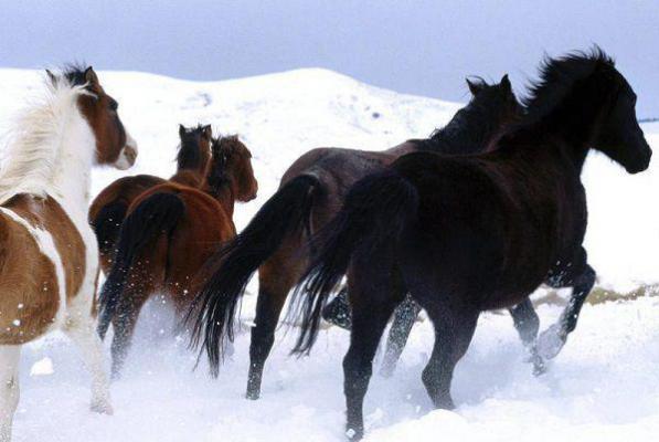 谢远恒温意浓最新章节内容 温意浓谢远恒小说谢远恒温意浓