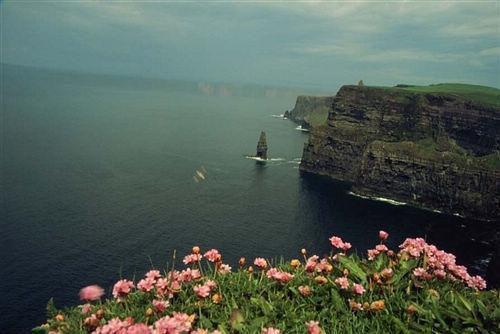 薛红竹小说名 太子溺亡后，我登基为帝：番外小说免费阅读全文最新章节