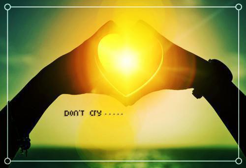 苏栗秦南嵩免费阅读最新章节 苏栗秦南嵩笔趣阁最新章节列表