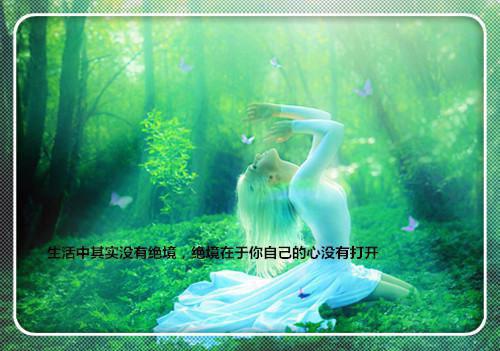 向宇林桑宋青涵安安小说免费阅读 告别只说三次笔趣阁最新章节列表