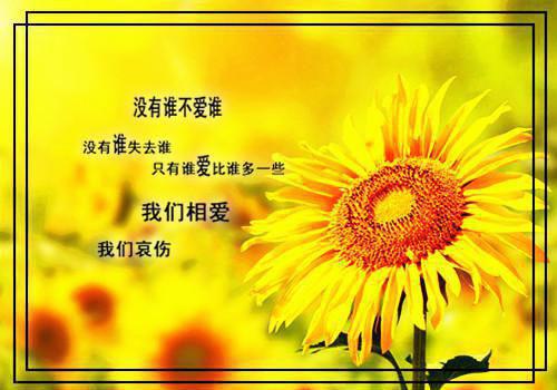 柳月娥苏微雨的小说叫什么 藏娇:表小姐她不想做妾全文最新更新内容