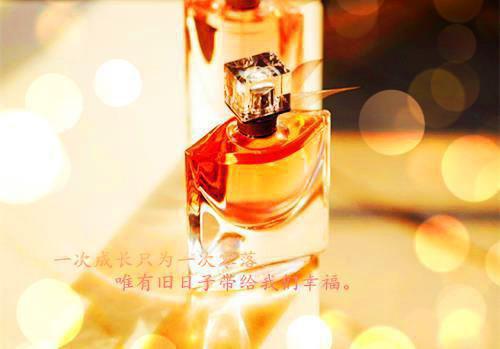 姜婉傅斯年免费阅读 科研大佬入赘后，杀猪匠媳妇暴富了免费阅读姜婉傅斯年小说