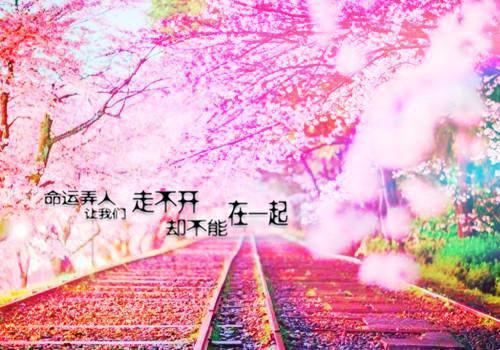 裴秉谦林莓莓裴谨文小说免费阅读 当上了前男友的后妈:后续笔趣阁最新章节