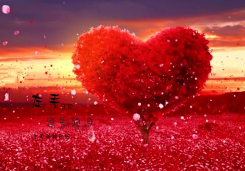 林小宝顾青青林振邦小说免费阅读 穿书炮灰的妈妈拒不离婚by匿名免费阅读