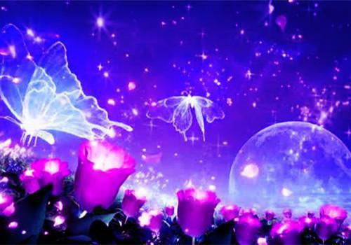 银杏锈蚀星光最新小说（露露奥菲莉亚）全文阅读